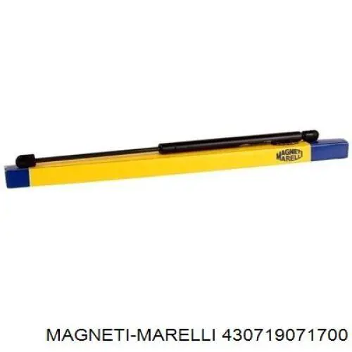 Амортизатор стекла багажника (двери 3/5-й задней (ляды) Magneti Marelli 430719071700 цена, от 11.48 USD
