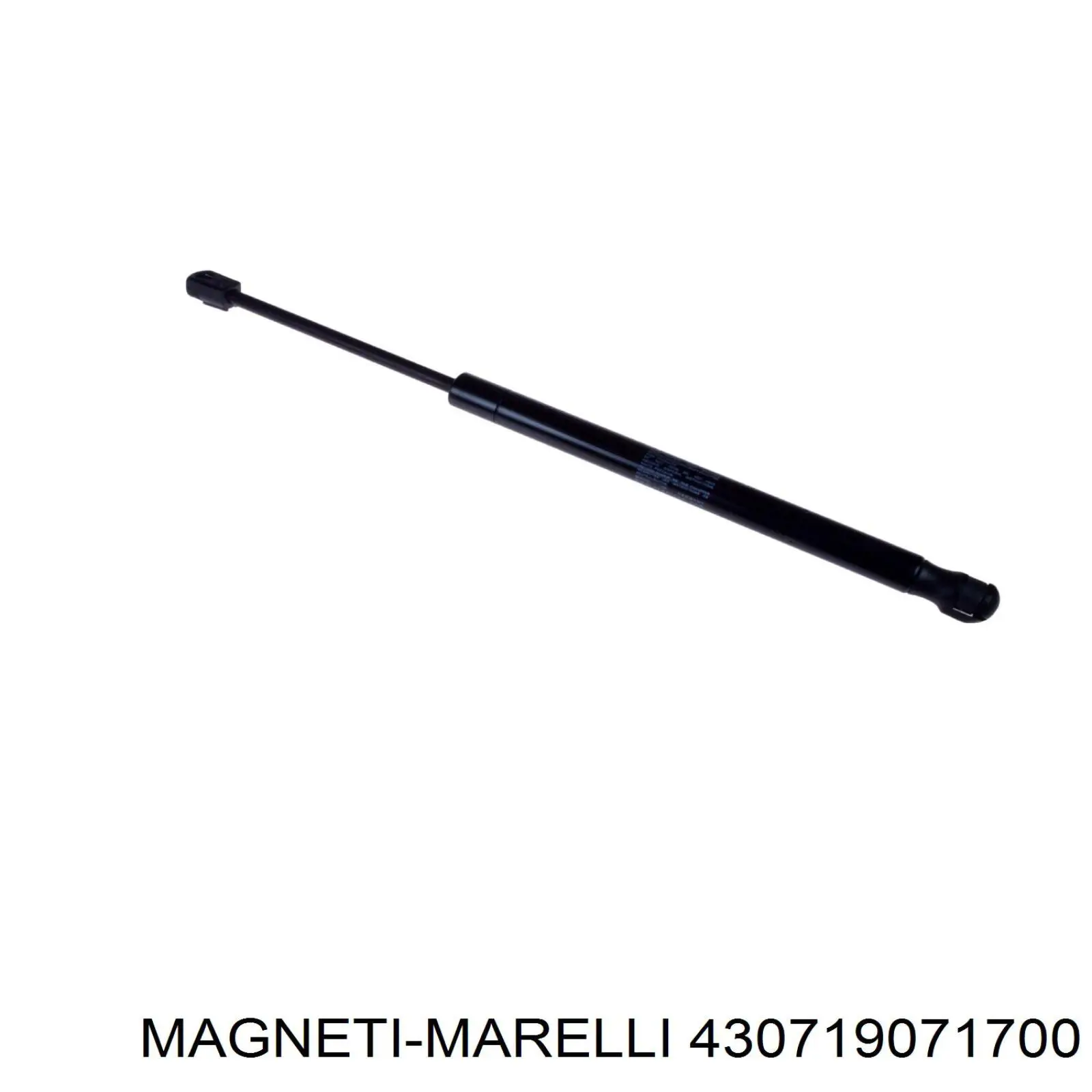Купить 430719071700 Magneti Marelli Амортизатор стекла багажника (двери 3/5-й задней (ляды)
