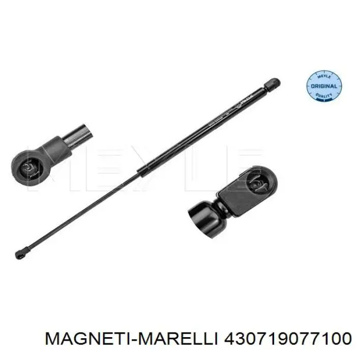 430719077100 Magneti Marelli amortecedor da capota