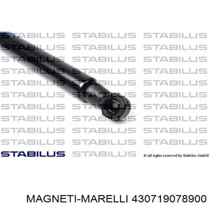 Амортизатор задней двери Magneti Marelli 430719078900 цена, от 10.14 USD