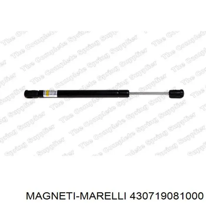 430719081000 Magneti Marelli