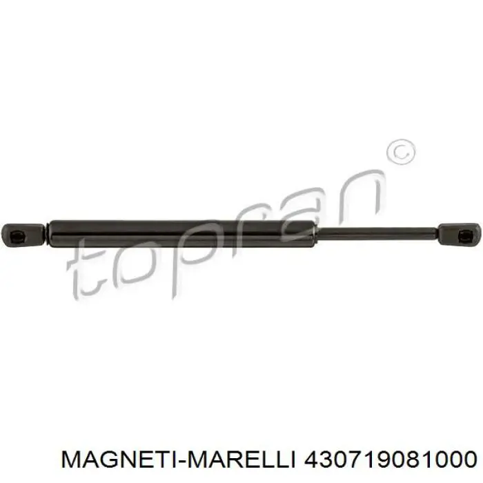 Купить 430719081000 Magneti Marelli Амортизатор двери багажника