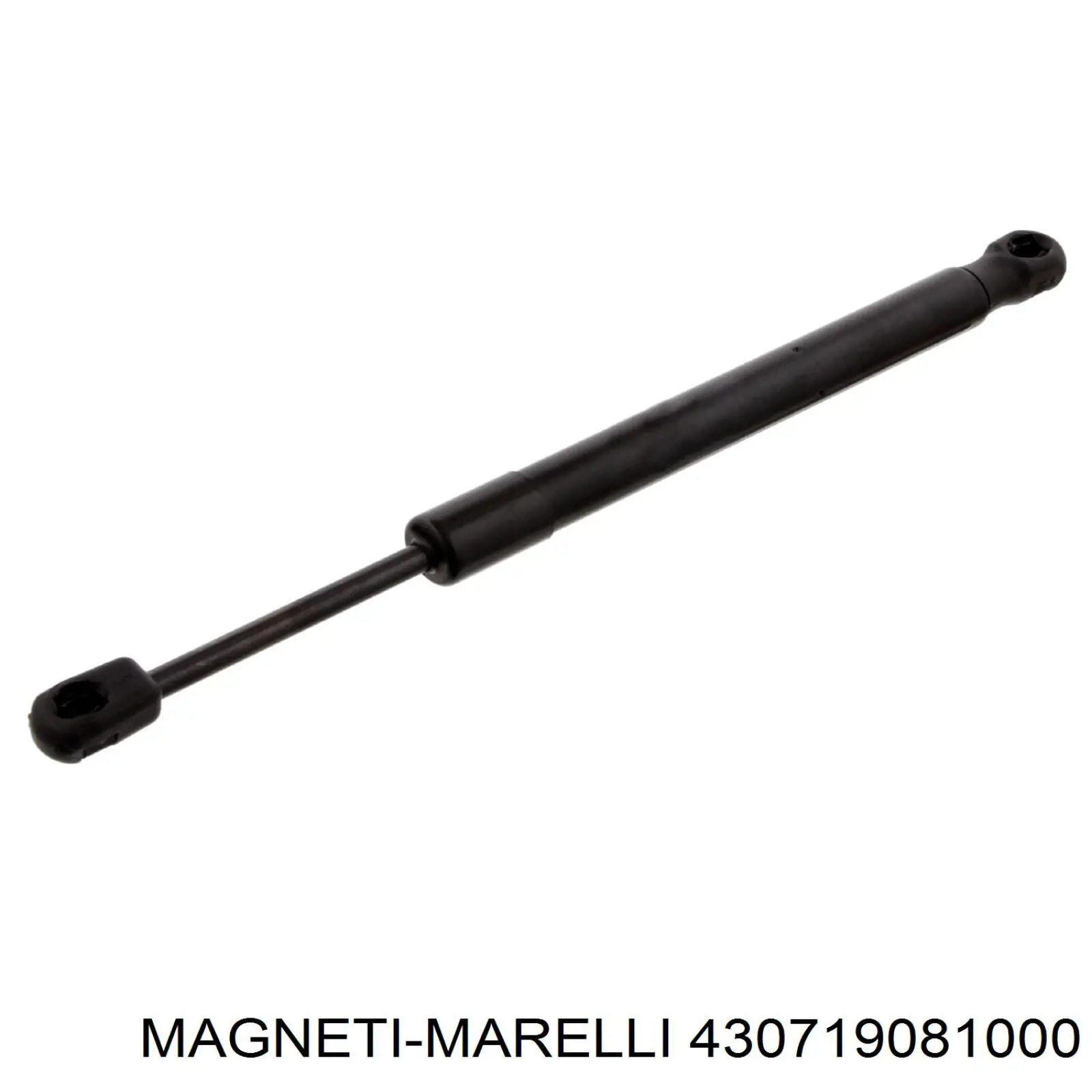 Амортизатор багажника 430719081000 Magneti Marelli