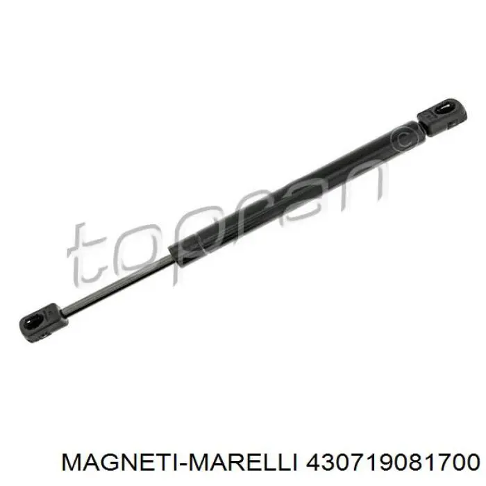 Амортизатор багажника 430719081700 Magneti Marelli