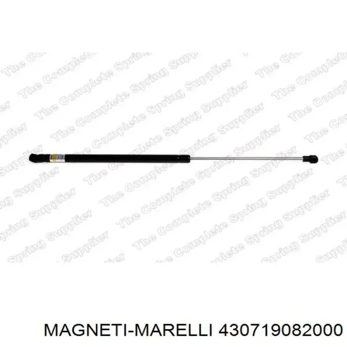 430719082000 Magneti Marelli