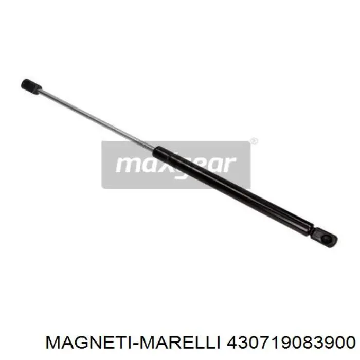 430719083900 Magneti Marelli амортизатор багажника