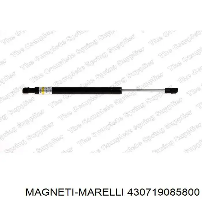 Купить 430719085800 Magneti Marelli Амортизатор стекла багажника (двери 3/5-й задней (ляды)