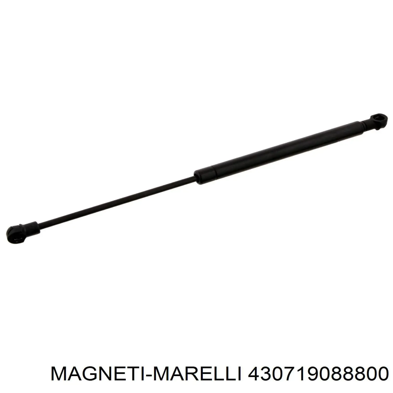 430719088800 Magneti Marelli амортизатор стекла багажника (двери 3/5-й задней (ляды)