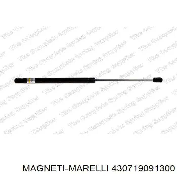 Купить 904525806R Renault (RVI) Амортизатор двери багажника