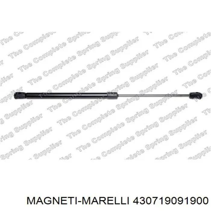  430719091900 Magneti Marelli