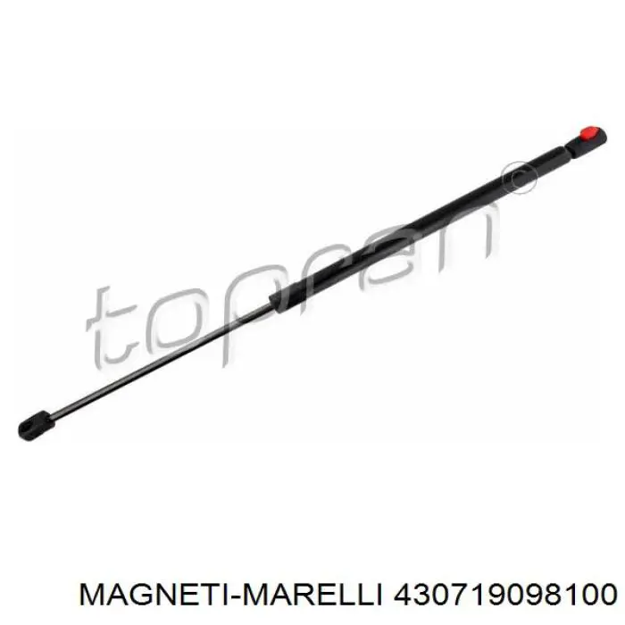 Амортизатор капота левый Magneti Marelli 430719098100