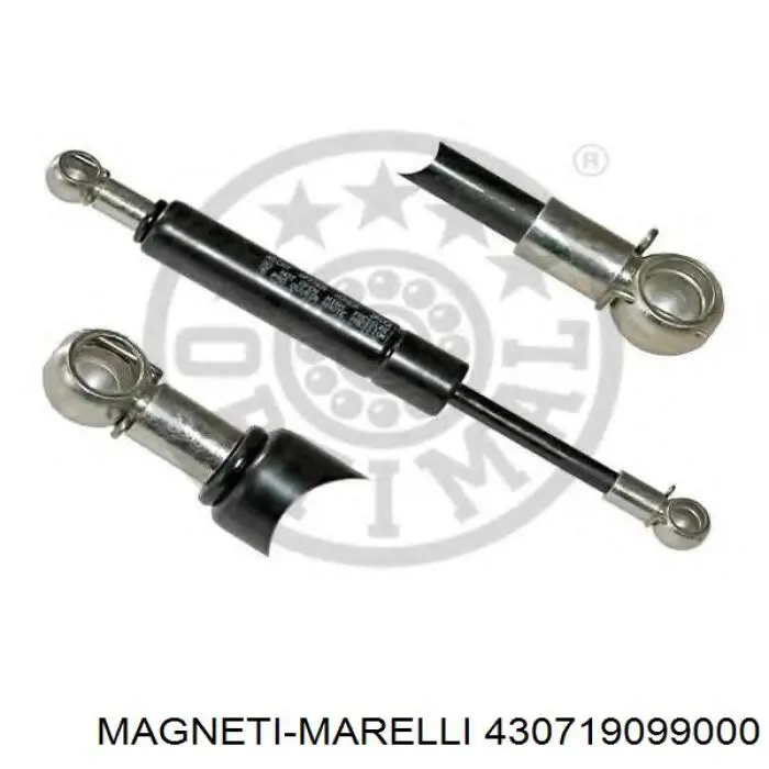  430719099000 Magneti Marelli