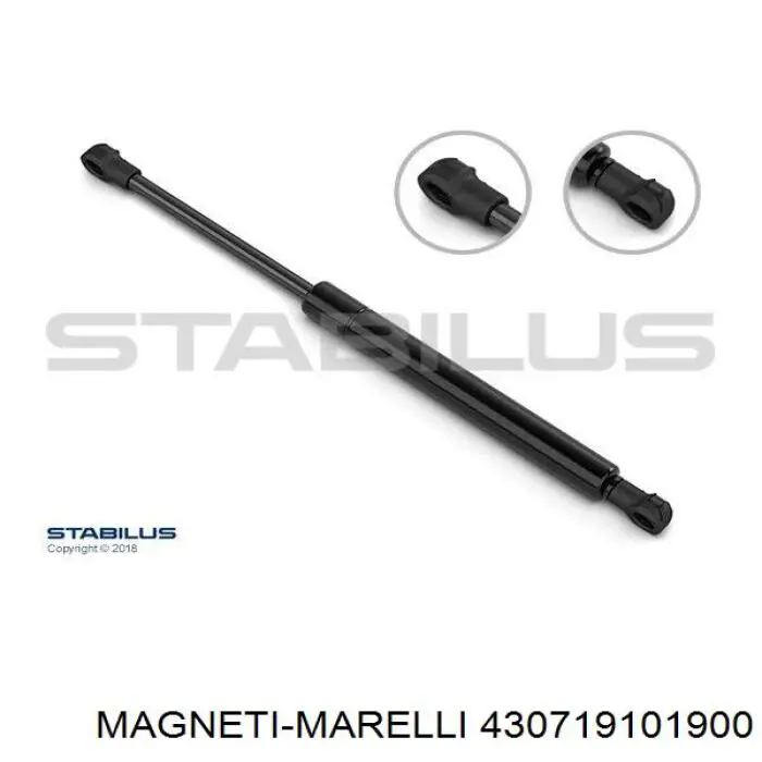 Купить 430719101900 Magneti Marelli Амортизатор стекла багажника (двери 3/5-й задней (ляды)