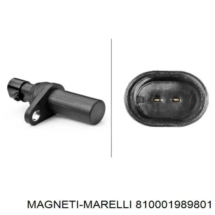 Купить 810001989801 Magneti Marelli Датчик оборотов коленвала