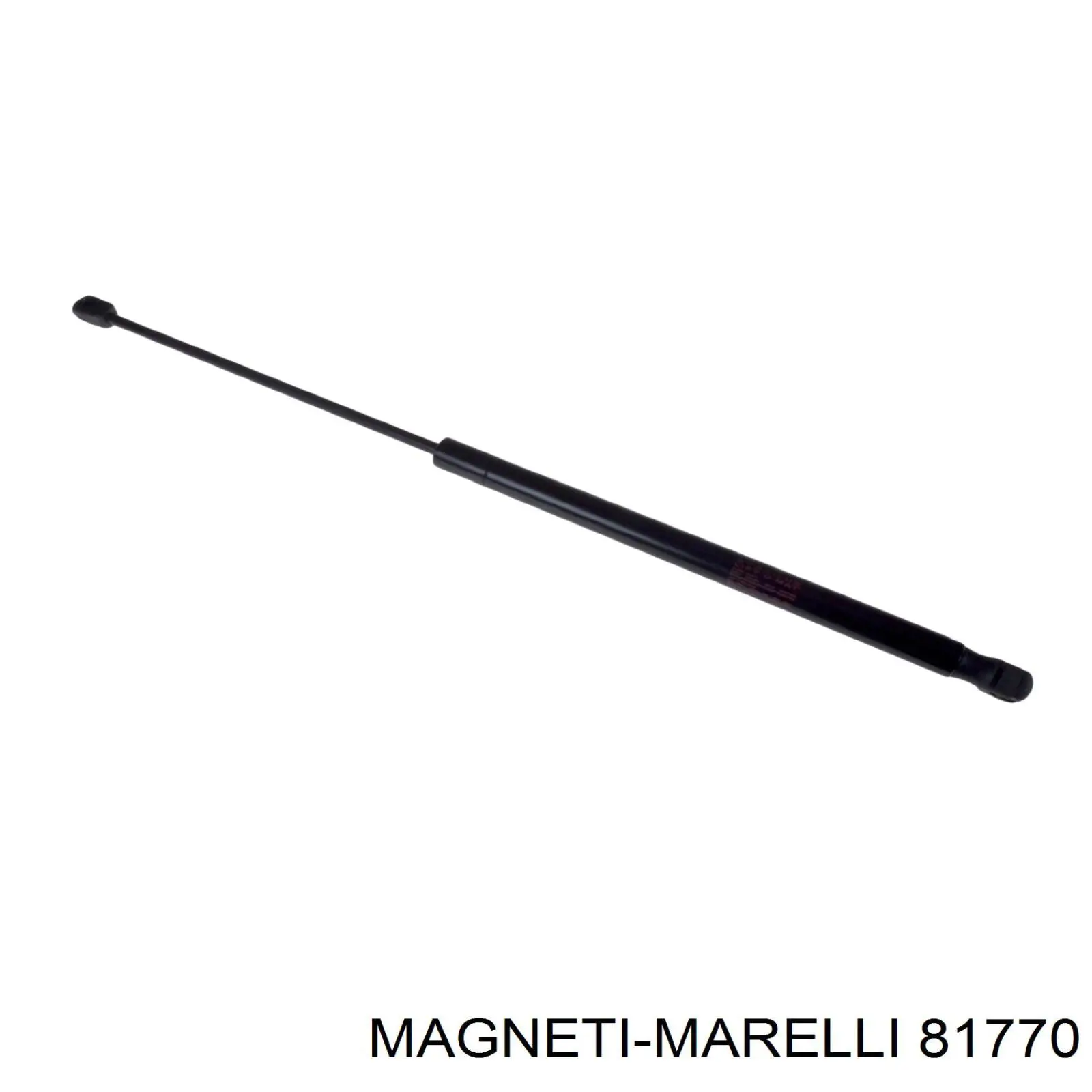 Помпа 81770 Magneti Marelli