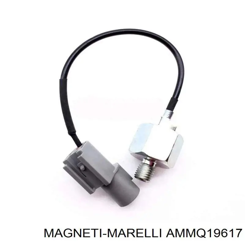 Датчик массового расхода воздуха Magneti Marelli AMMQ19617 цена, от 37.83 USD