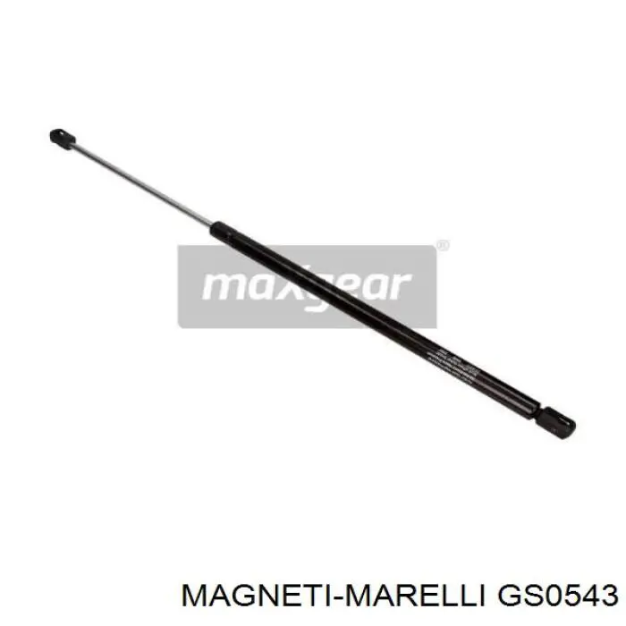 Амортизатор багажника GS0543 Magneti Marelli