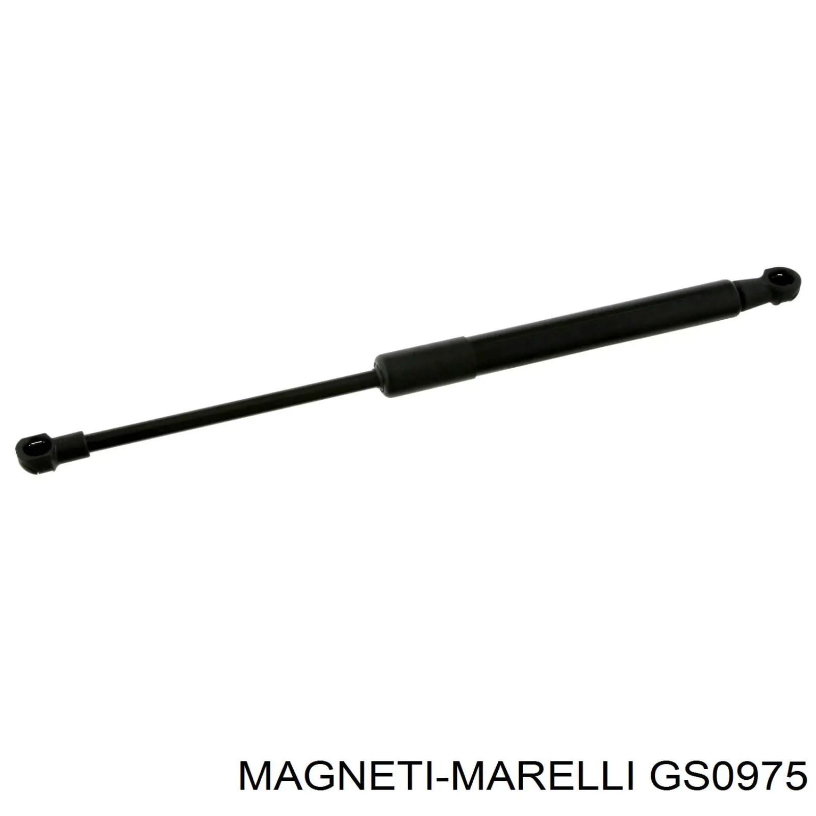 GS0975 Magneti Marelli