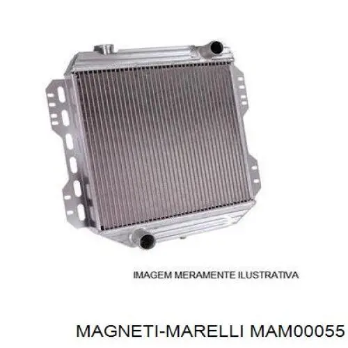 Бензонасос MAM00055 Magneti Marelli