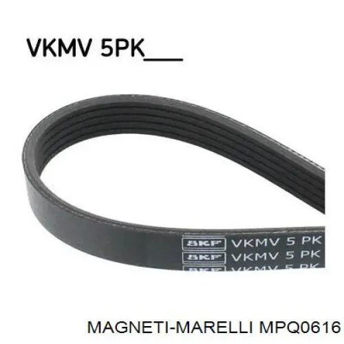 Купить MPQ0616 Magneti Marelli Натяжной ролик