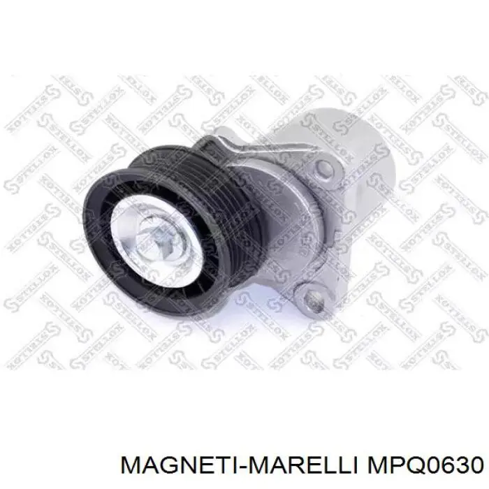 Rodillo, cadena de distribución MPQ0630 Magneti Marelli