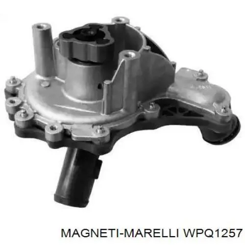 Bomba de agua, completo con caja WPQ1257 Magneti Marelli