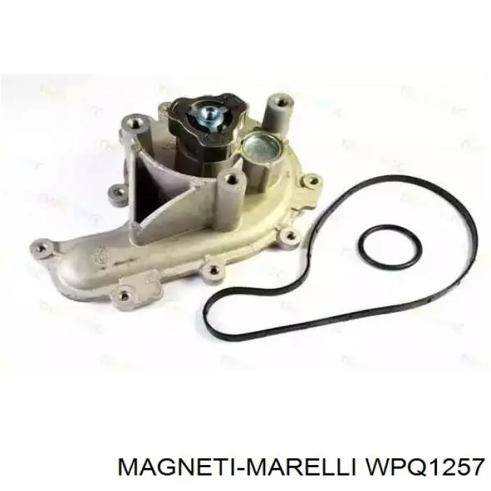 WPQ1257 Magneti Marelli Водяной насос охлаждения, с корпусом