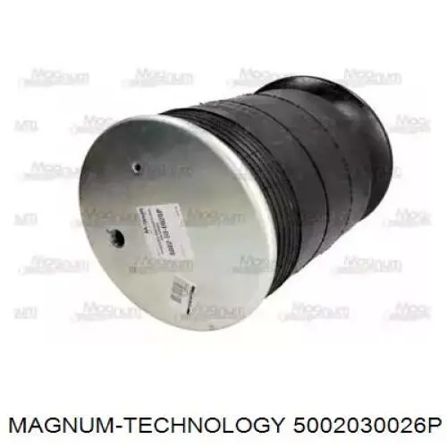 Рессора пневматической подвески Rider RD74158P цена, от 53.21 USD