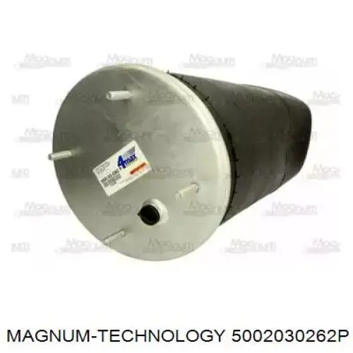 Цилиндр сцепления главный Magnum Technology 5002030262P