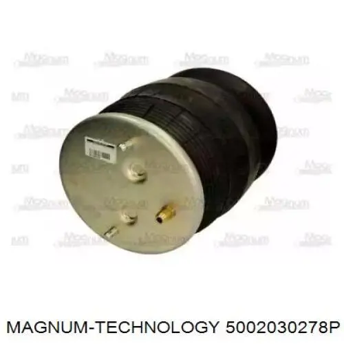 Рессора пневматической подвески Continental/Siemens 6701NP01 цена, от 117.68 USD