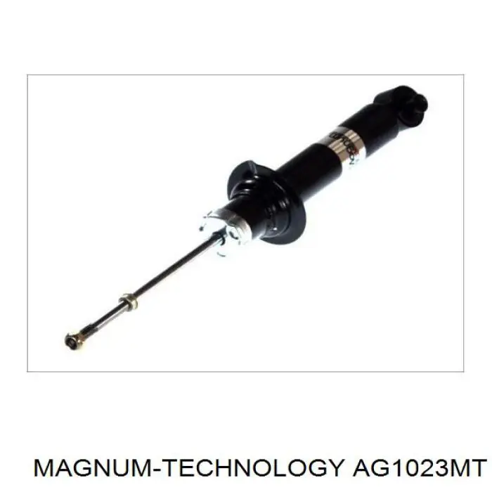 Купить RS290561 Raiso Амортизатор передней подвески