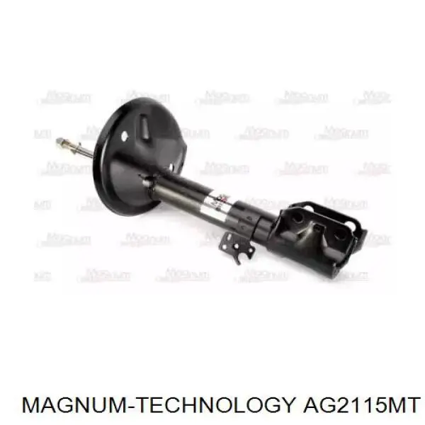 Амортизатор передней подвески левой Raiso RS313809 цена, от 41.59 USD
