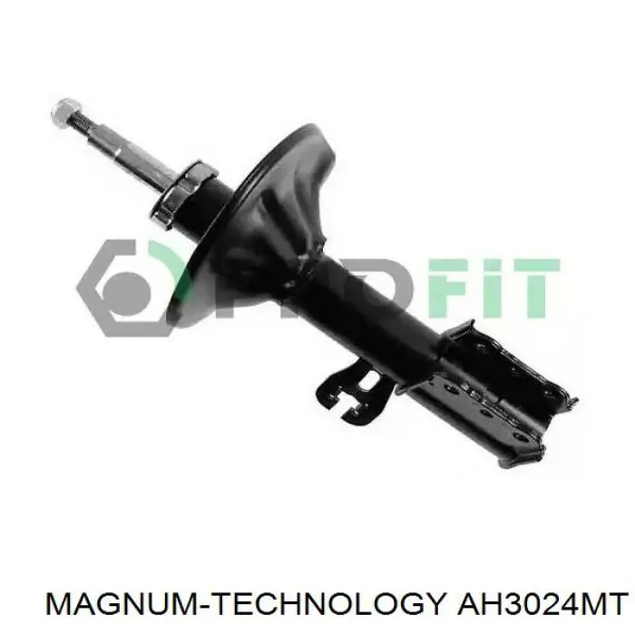Амортизатор задний RS280691 Raiso