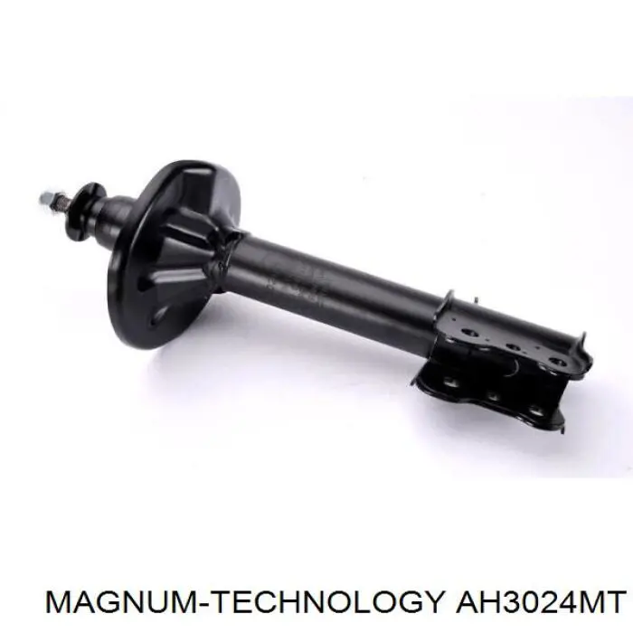 RS280691 Raiso Амортизаторы задние