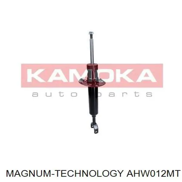 Купить RS170381 Raiso Амортизатор передней подвески