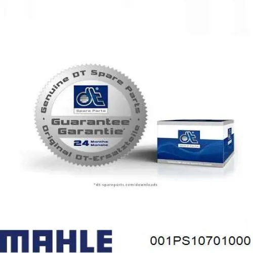 Вкладыши шатунные 001PS10701000 Mahle Original