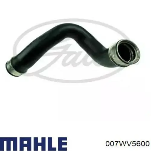 007WV5600 Mahle Original