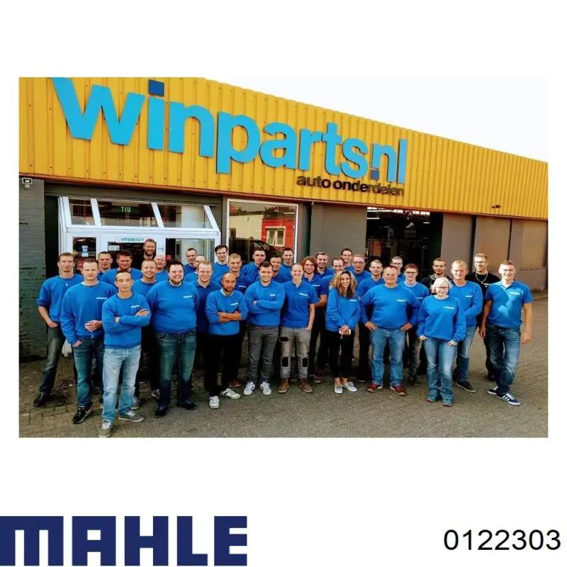 Купить 0122303 Mahle Original Поршень в сборе
