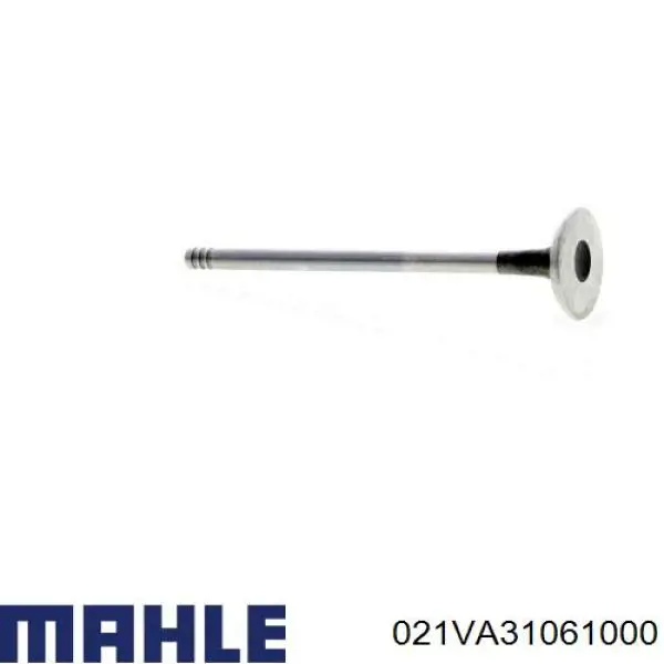 021VA31061000 Mahle Original