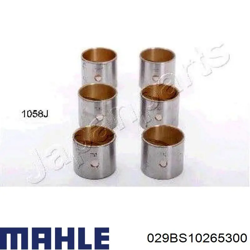 029BS10265300 Mahle Original