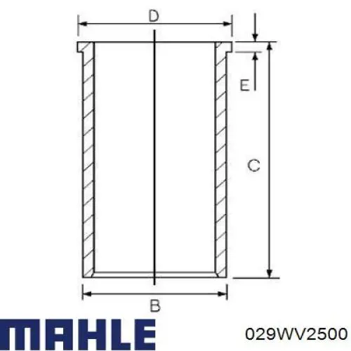 029WV2500 Mahle Original Поршневая гильза