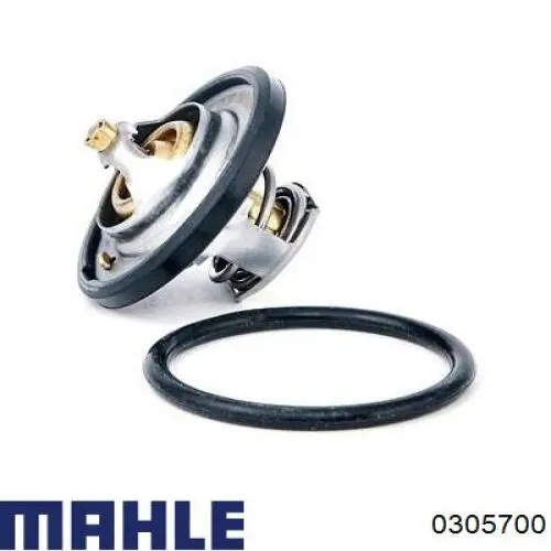 Поршень в сборе Mahle Original 0305700 цена, от 77.24 USD