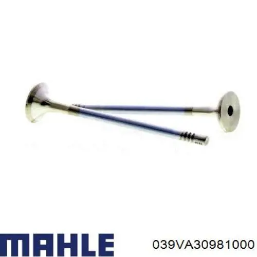 039VA30981000 Mahle Original