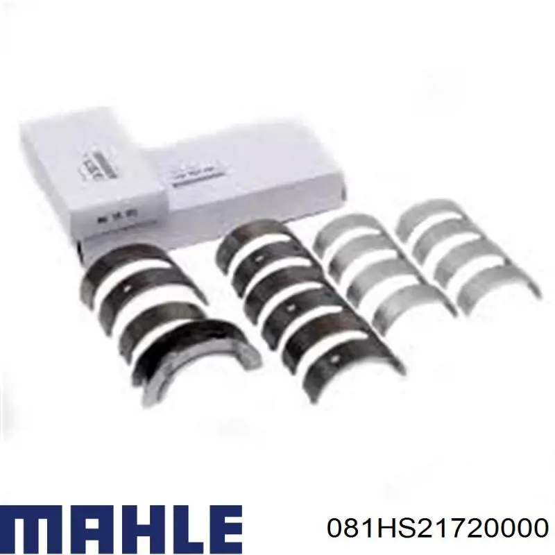  081HS21720000 Mahle Original