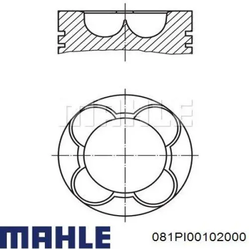 081PI00102000 Mahle Original 