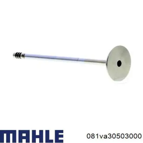Клапан выпускной Mahle Original 081VA30503000