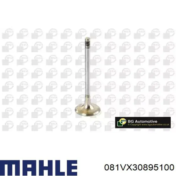Впускной клапан LGH101450L Land Rover
