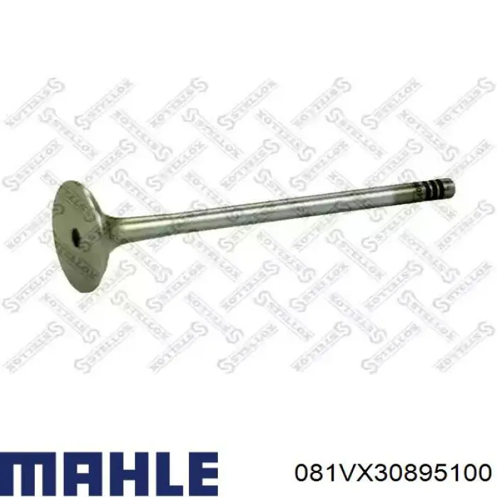 Válvula de admisión 081VX30895100 Mahle Original