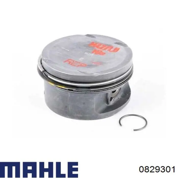  0829301 Mahle Original