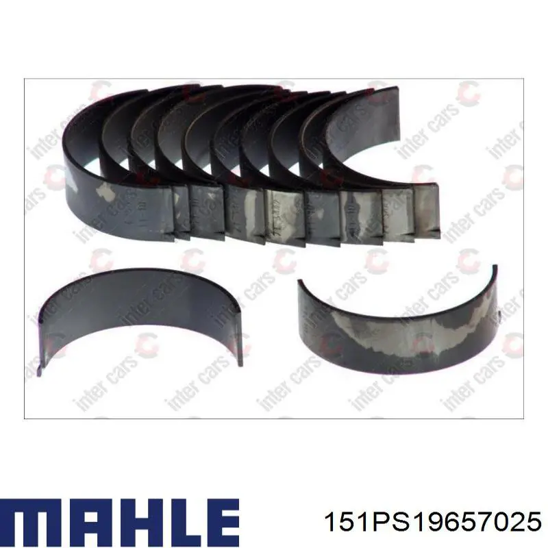 Купить 151PS19657025 Mahle Original Вкладыши шатунные, 1-й ремонт